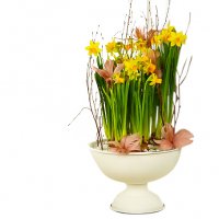 Glad Påsk plantering - Påskblommor - Skicka blommor